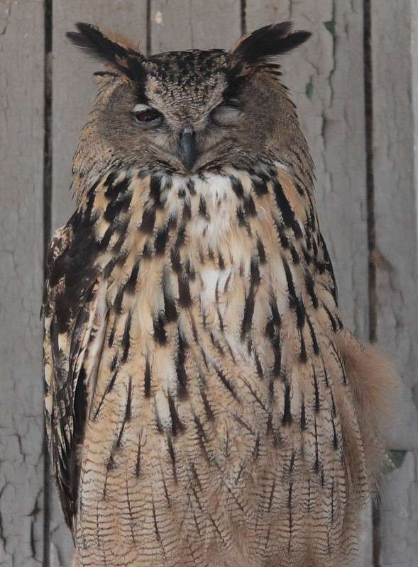 ... ����� �����  �� PhotoGeek.ru #�������� ���