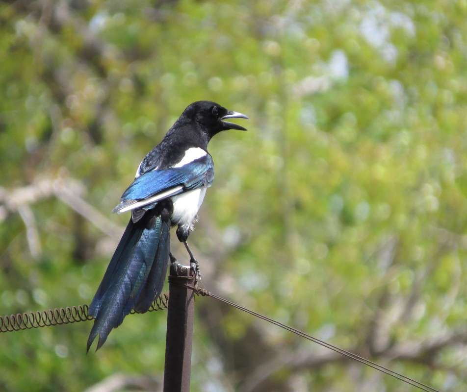 ... ����� �����  �� PhotoGeek.ru #�������� ���