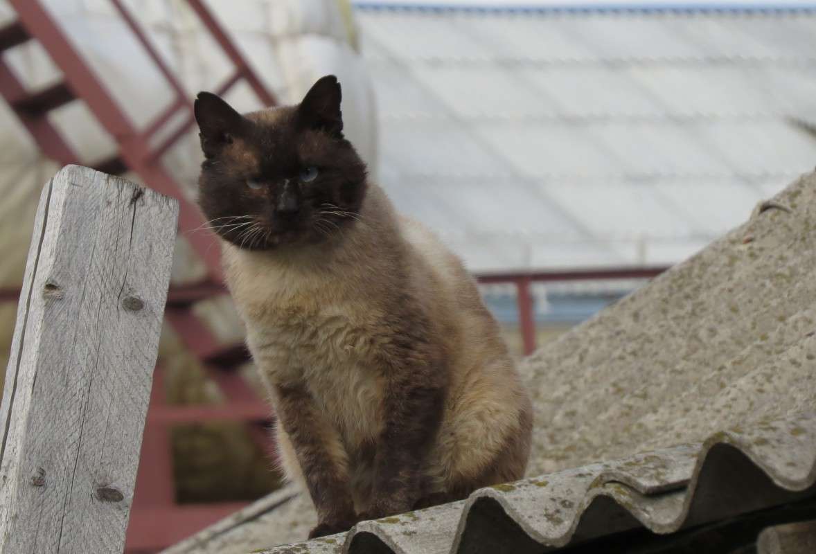 ... ����� �����  �� PhotoGeek.ru #�������� ���