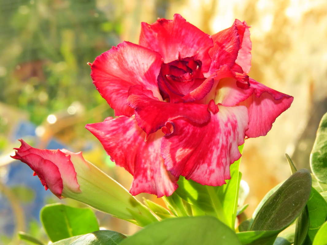 ... ����� �����  �� PhotoGeek.ru #������ ��� �������