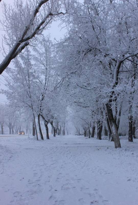 ... ����� �����  �� PhotoGeek.ru #������ ��� �������