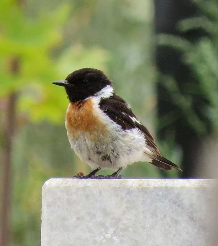 ... ����� �����  �� PhotoGeek.ru #�������� ���