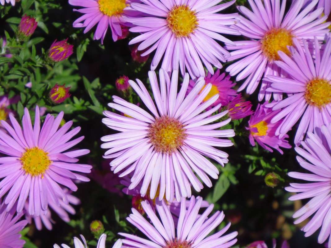 ... ����� �����  �� PhotoGeek.ru #������ ��� ������� #����� ��������������