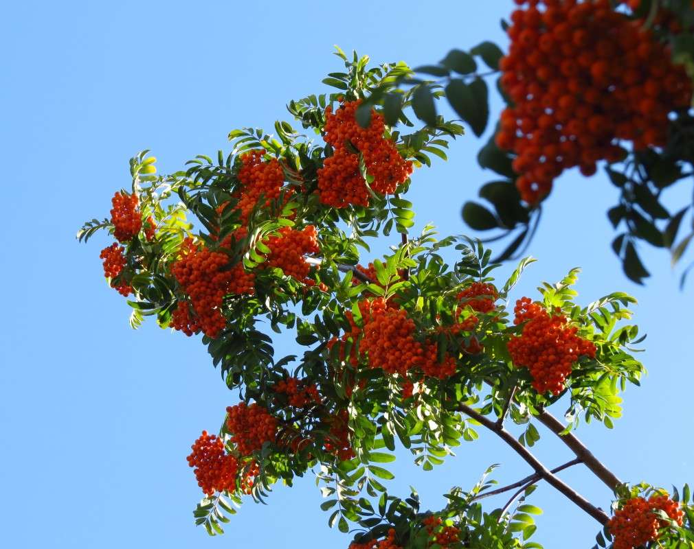 ... ����� �����  �� PhotoGeek.ru #������ ��� ������� #����� ��������������