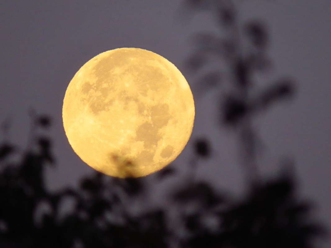 ... ����� �����  �� PhotoGeek.ru #������ ��� ������� #���������