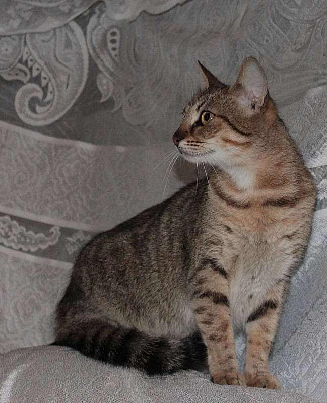 ... ����� �����  �� PhotoGeek.ru #�������� ��� #�������