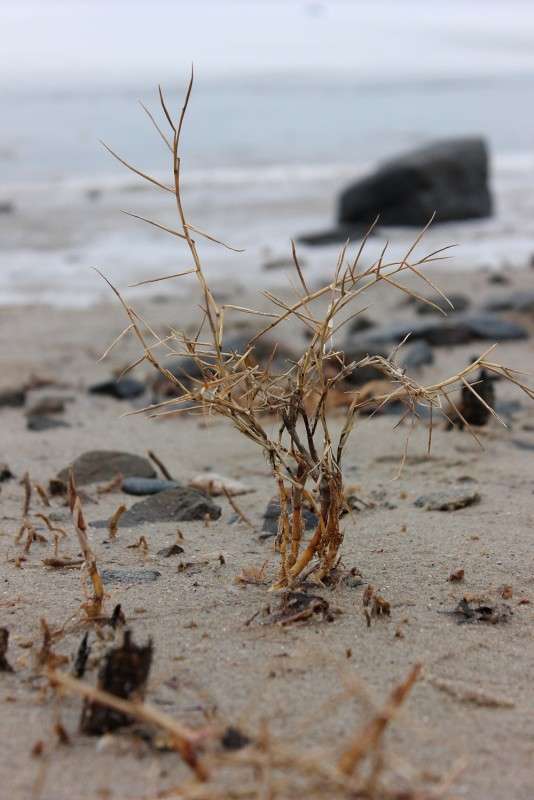 ... ����� �����  �� PhotoGeek.ru #������ ��� ������� #���������