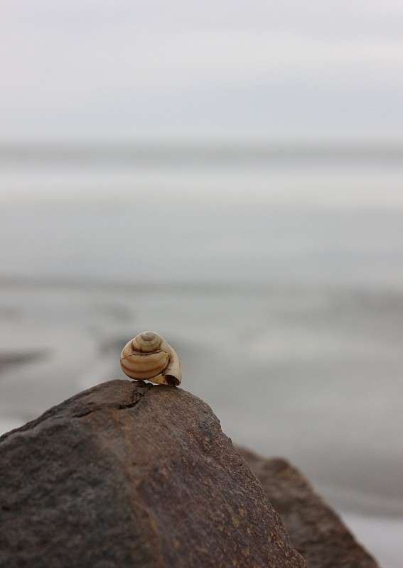 ... ����� �����  �� PhotoGeek.ru #������ ��� ������� #���������