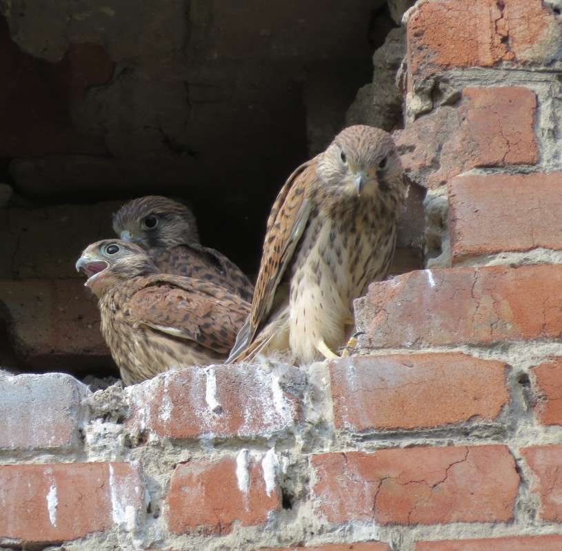 ... ����� �����  �� PhotoGeek.ru #�������� ��� #����� ��� ��� ���������