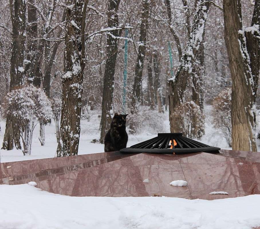 ... ����� �����  �� PhotoGeek.ru #������ ��� �������