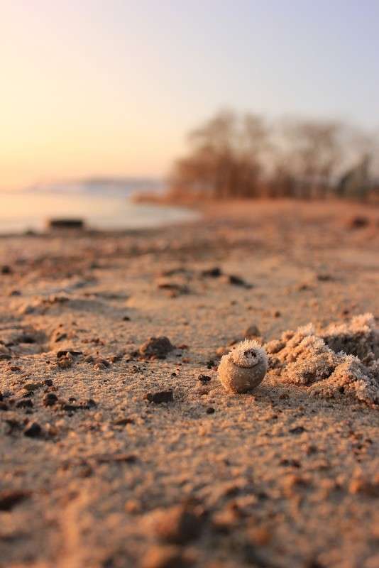 ... ����� �����  �� PhotoGeek.ru