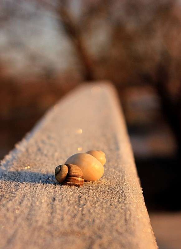 ... ����� �����  �� PhotoGeek.ru #������ ��� ������� #����� ��������