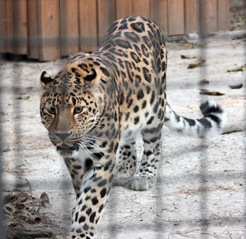 ... ����� �����  �� PhotoGeek.ru #�������� ��� #����� ��� ��� ���������