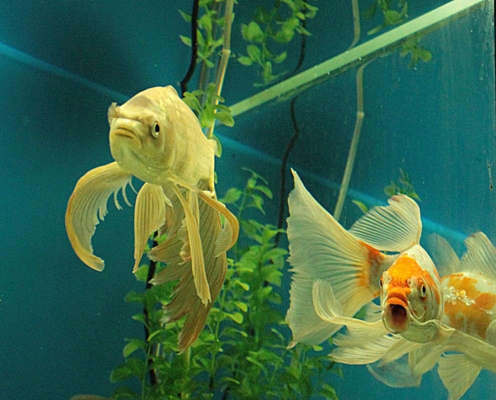 ... ����� �����  �� PhotoGeek.ru #�������� ���