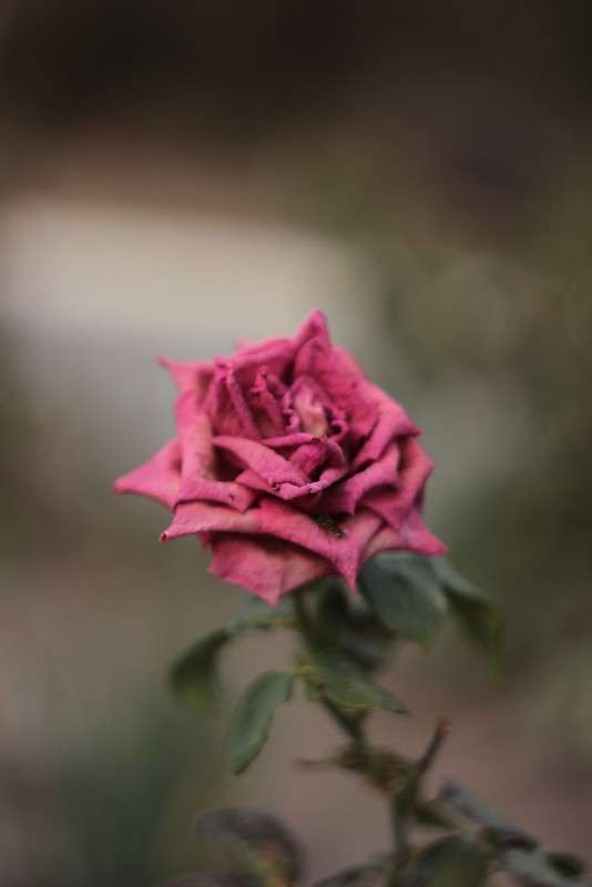 ... ����� �����  �� PhotoGeek.ru #������ ��� �������