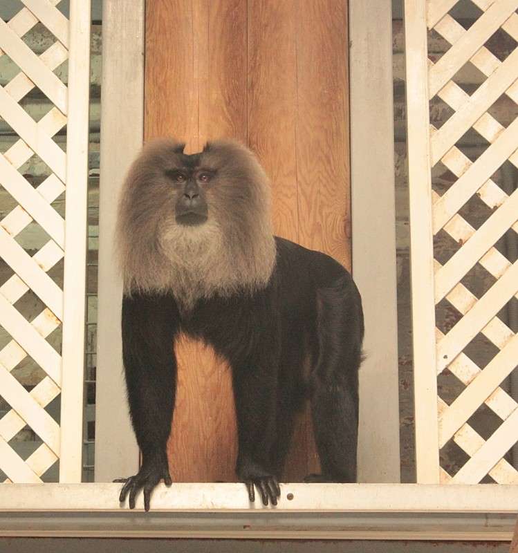 ... ����� �����  �� PhotoGeek.ru #�������� ���