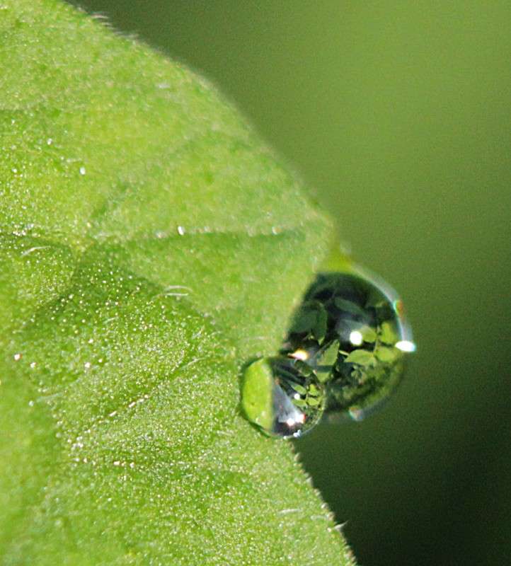 ... ����� �����  �� PhotoGeek.ru #����� #����� ��������������