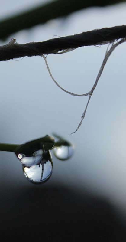 ... ����� �����  �� PhotoGeek.ru #����� #����� ��������������