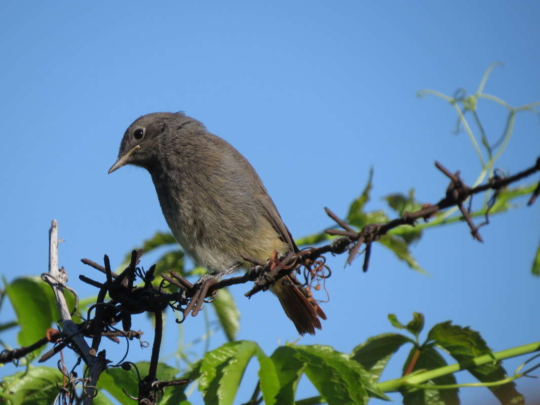 ... ����� �����  �� PhotoGeek.ru #�������� ��� #����� ��� ��� ���������