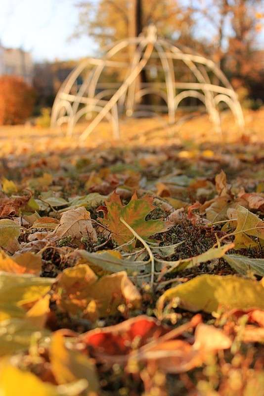 ... ����� �����  �� PhotoGeek.ru #������ ��� ������� #����� ��������������