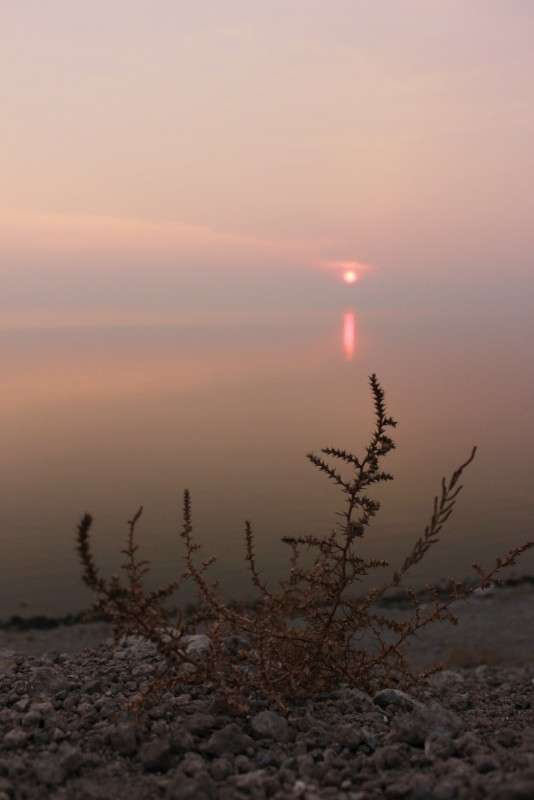 ... ����� �����  �� PhotoGeek.ru #������ ��� ������� #���������