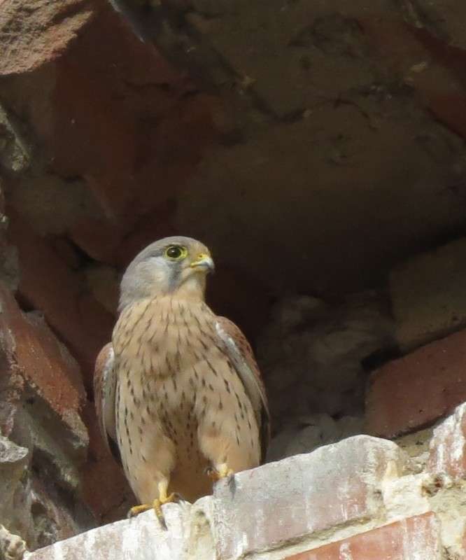 ... ����� �����  �� PhotoGeek.ru #�������� ��� #����� ��� ��� ���������