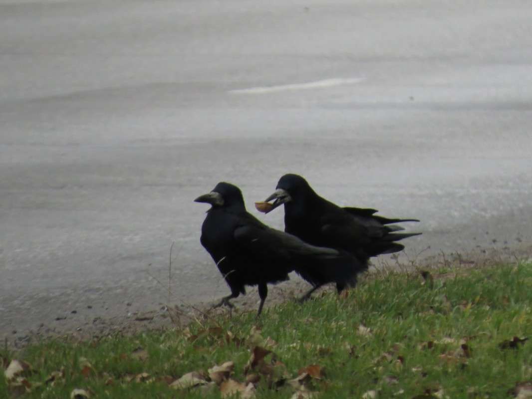 ... ����� �����  �� PhotoGeek.ru #�������� ��� #����� ��� ��� ���������