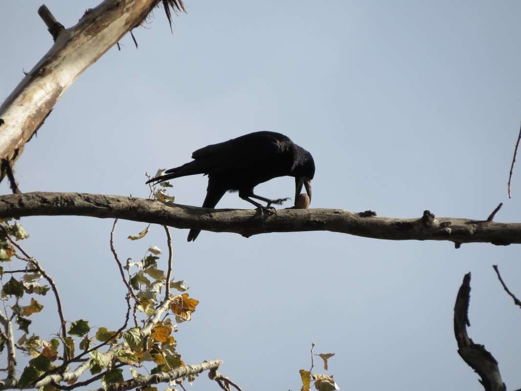 ... ����� �����  �� PhotoGeek.ru #�������� ��� #����� ��� ��� ���������