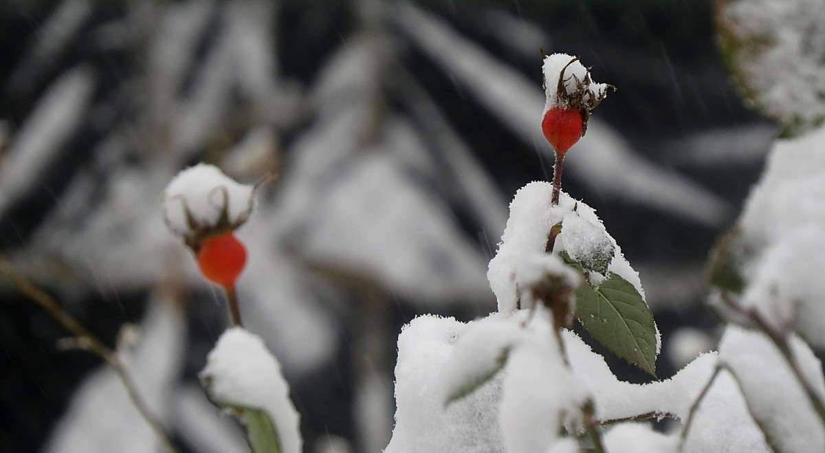 ... ����� �����  �� PhotoGeek.ru #������ ��� ������� #����� ��������������