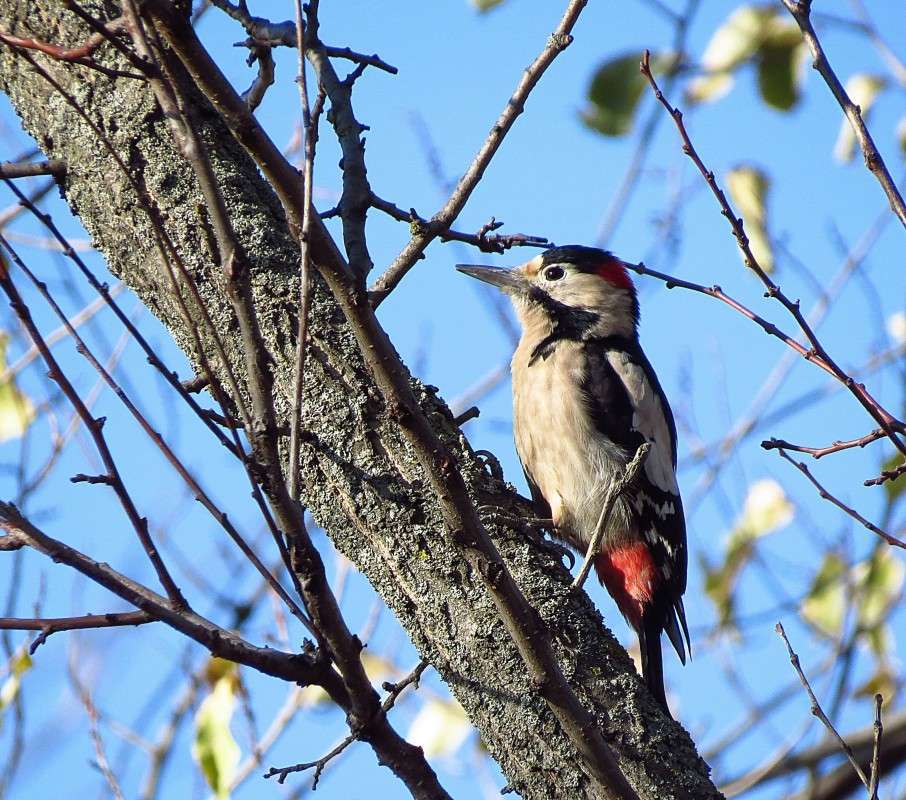 ... ����� �����  �� PhotoGeek.ru #�������� ��� #����� ��� ��� ���������