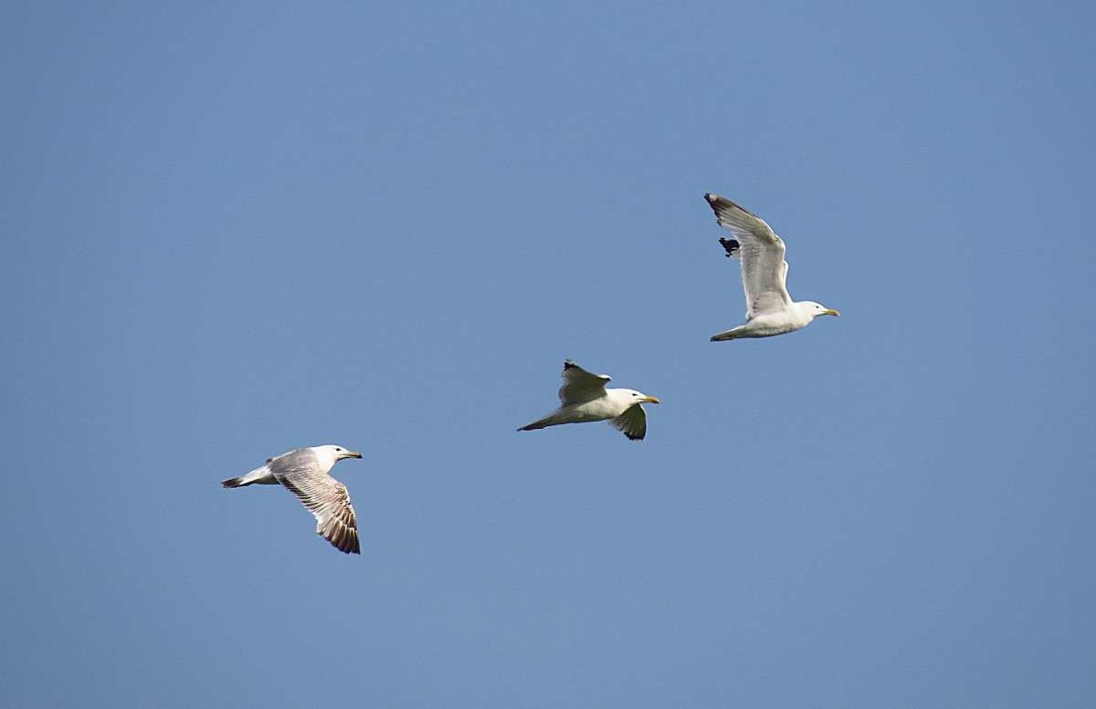 ... ����� �����  �� PhotoGeek.ru #�������� ��� #����� ��� ��� ���������