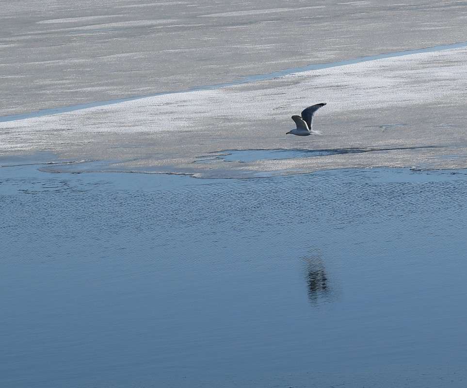 ... ����� �����  �� PhotoGeek.ru #�������� ��� #����� ��� ��� ���������