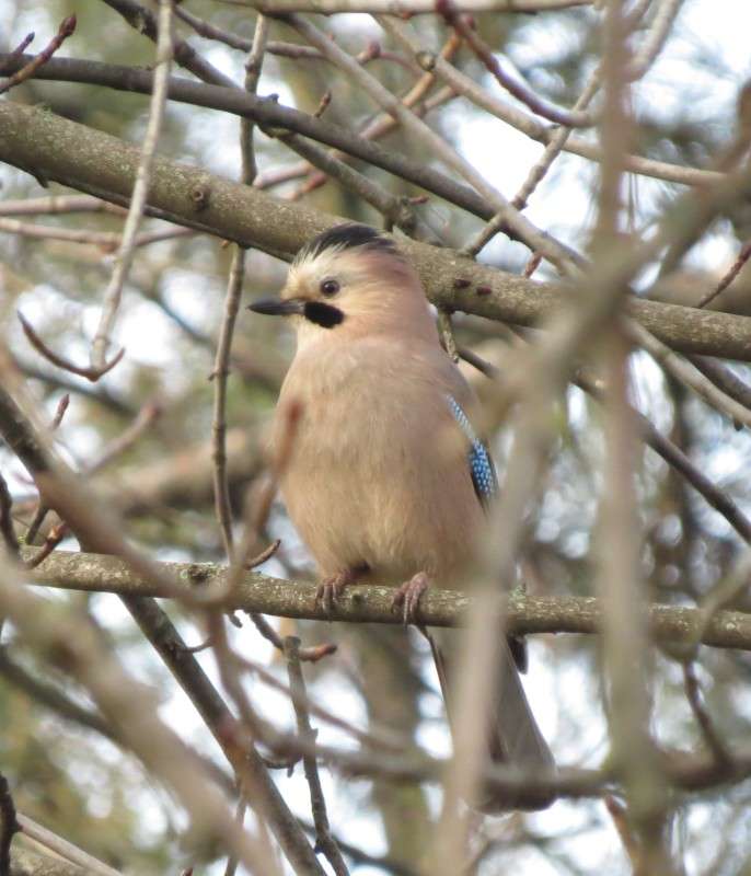 ... ����� �����  �� PhotoGeek.ru #�������� ��� #����� ��� ��� ���������