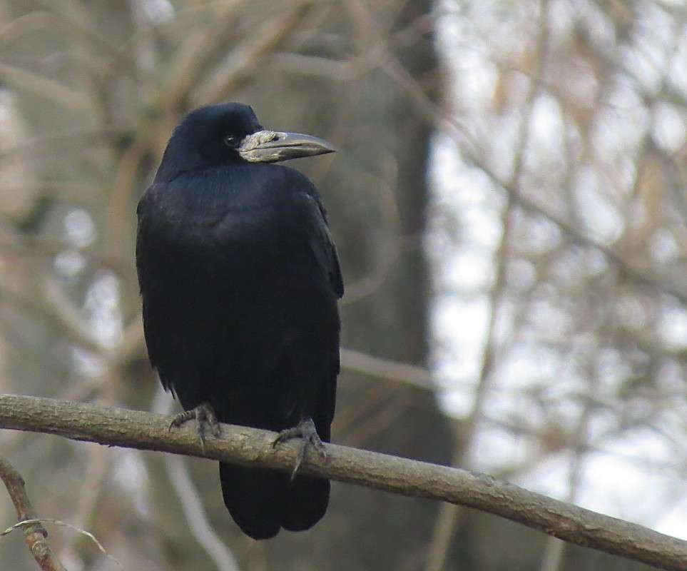 ... ����� �����  �� PhotoGeek.ru #�������� ��� #����� ��� ��� ���������