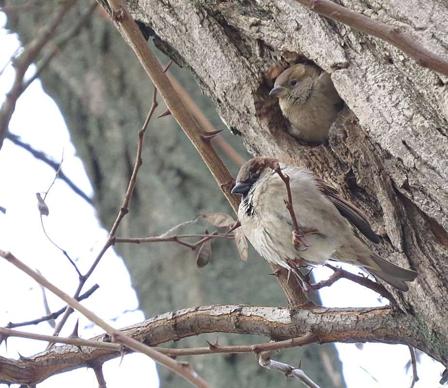 �������� ���� ����� �����  �� PhotoGeek.ru #�������� ��� #����� ��� ��� ���������