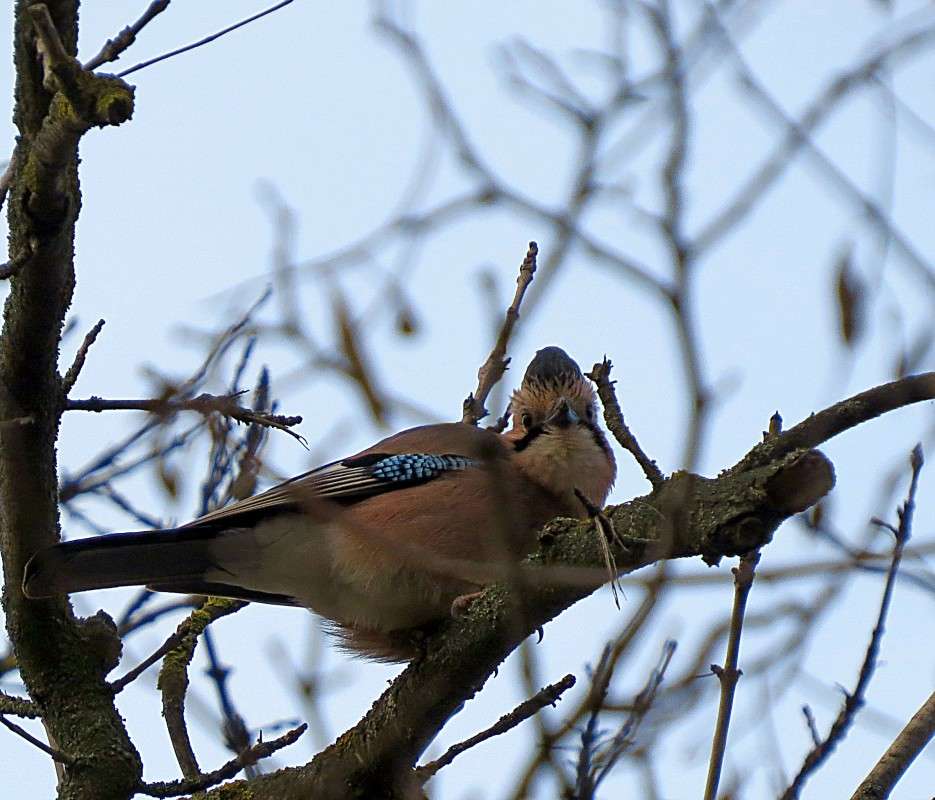 ������� ������ ����� �����  �� PhotoGeek.ru #�������� ��� #����� ��� ��� ���������