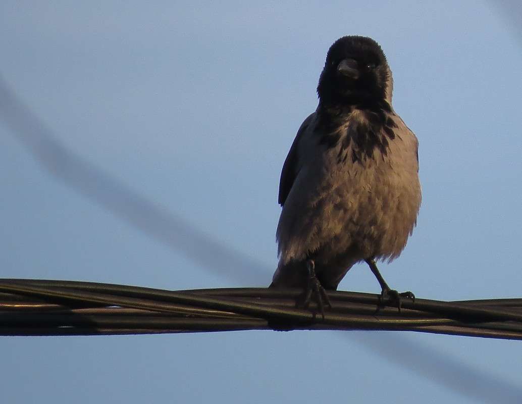 ������ ������ �� ������ ����� �����  �� PhotoGeek.ru #�������� ��� #����� ��� ��� ���������