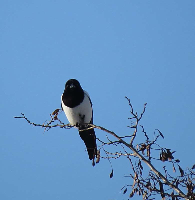 ��������������� ����� �����  �� PhotoGeek.ru #������ ��� ������� #����� ��������