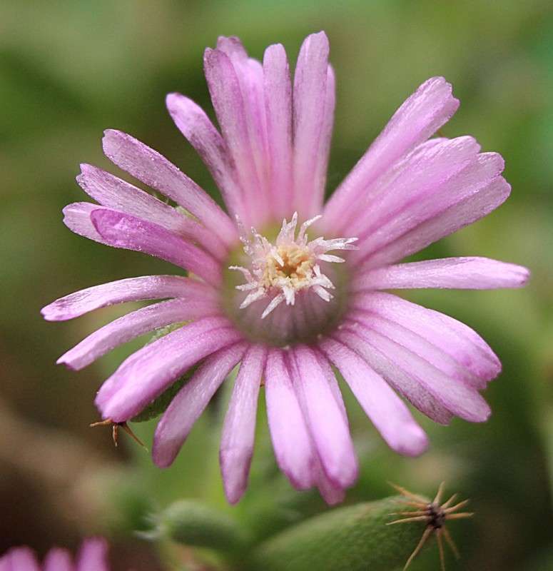 ... ����� �����  �� PhotoGeek.ru #�����