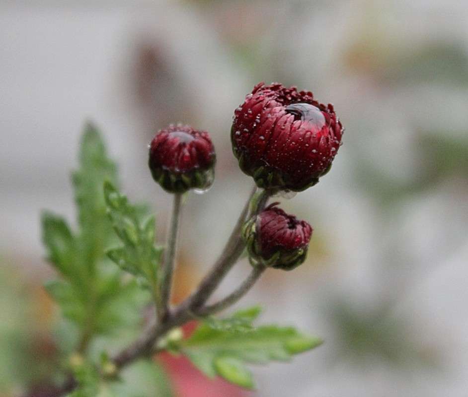 ... ����� �����  �� PhotoGeek.ru #������ ��� �������