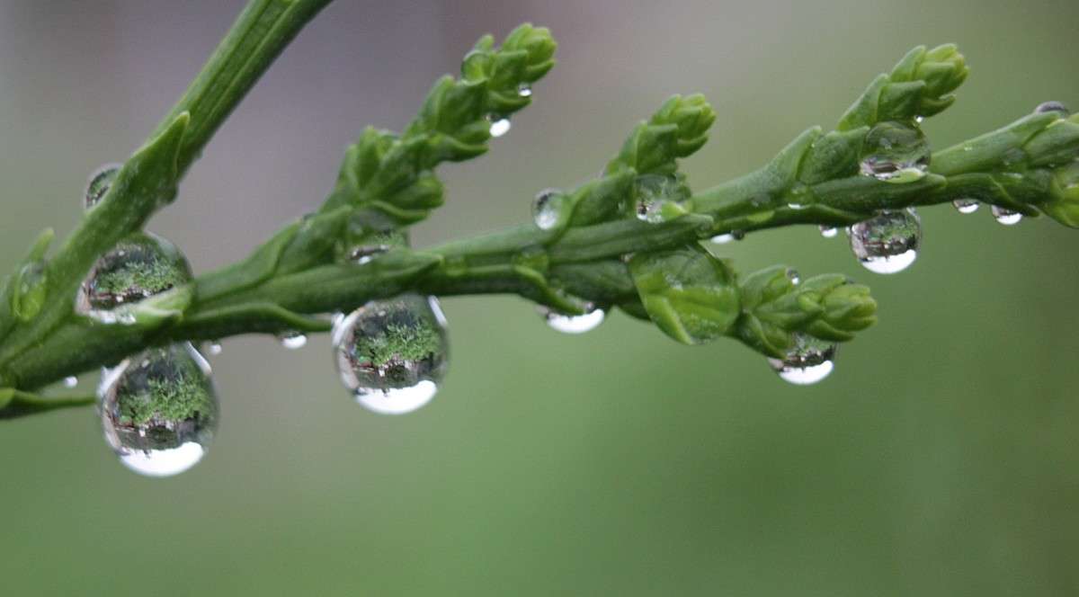 ������ ���� ����� �����  �� PhotoGeek.ru #������ ��� �������