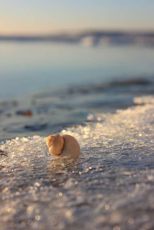 ���������� ������ 1 ����� �����  �� PhotoGeek.ru #������ ��� �������