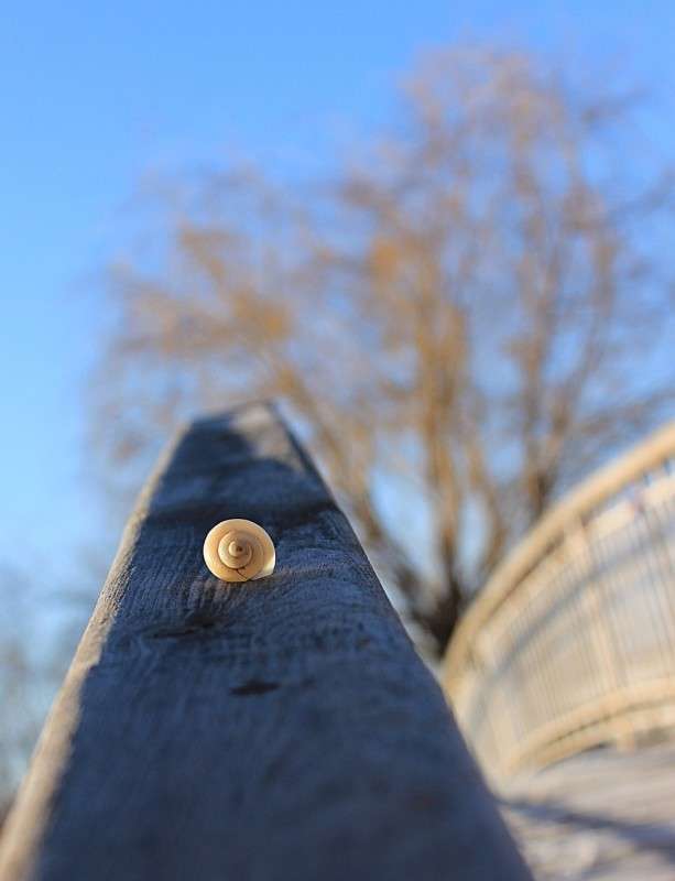 ... ����� �����  �� PhotoGeek.ru #������ ��� �������