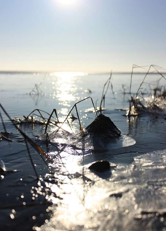 ... ����� �����  �� PhotoGeek.ru #������ ��� �������