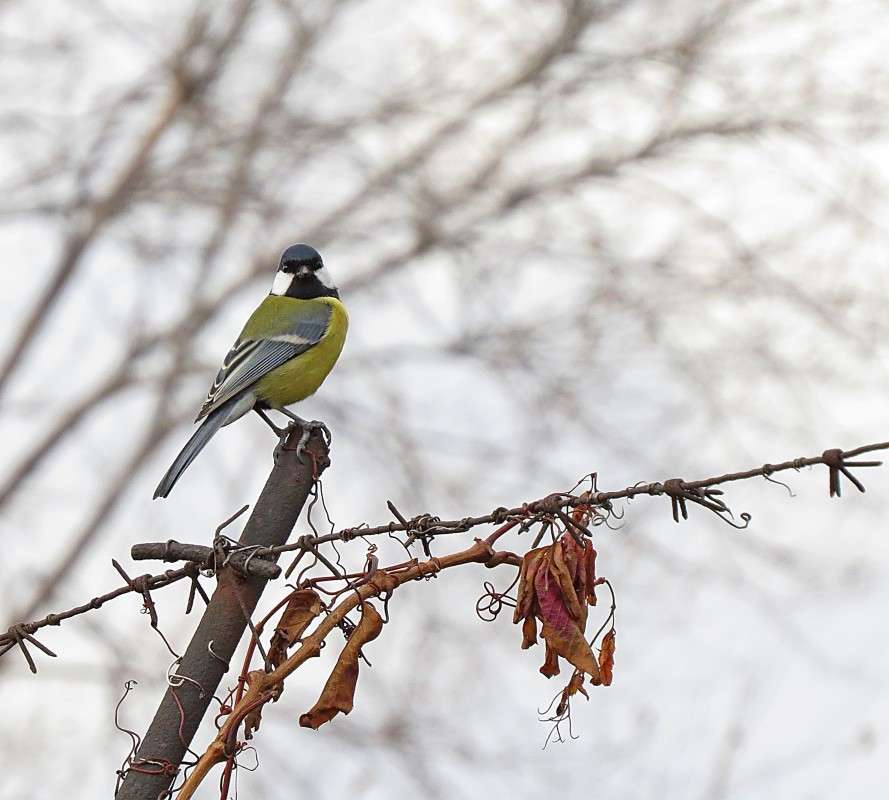 �������� ����� �����  �� PhotoGeek.ru #�������� ��� #����� ��� ��� ���������