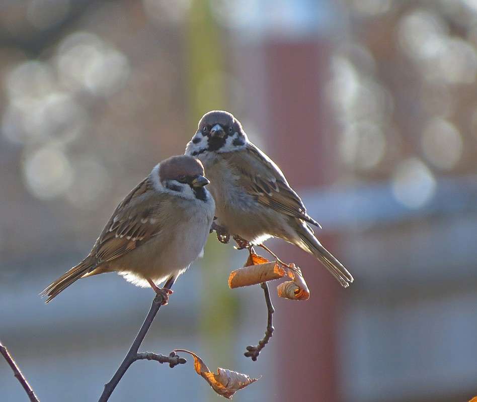 ������� ����� �����  �� PhotoGeek.ru #�������� ��� #����� ��� ��� ���������