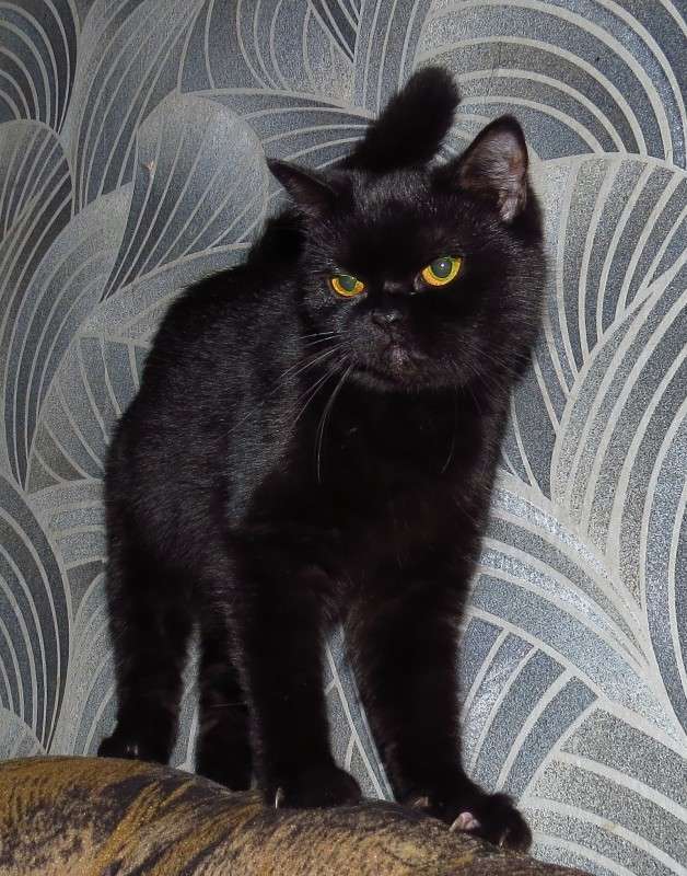 ������ ����� � ����� ������ ������� ����� �����  �� PhotoGeek.ru #�������� ��� #�������