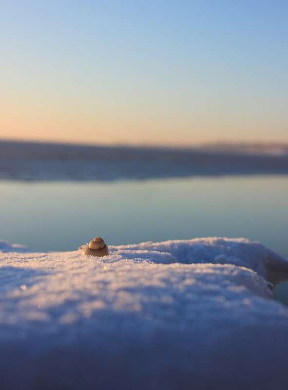 ... ����� �����  �� PhotoGeek.ru #������ ��� ������� #���������