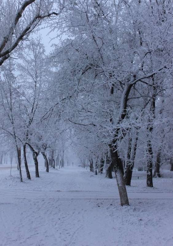 ������� ������ ����� �����  �� PhotoGeek.ru #������ ��� ������� #����� ��������������