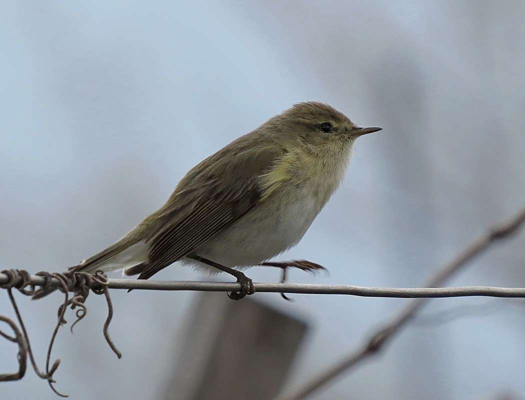 ������� ����� �����  �� PhotoGeek.ru #�������� ��� #����� ��� ��� ���������